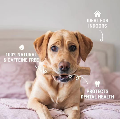 Natural Coffee Wood Dental Chew Stick for Dogs