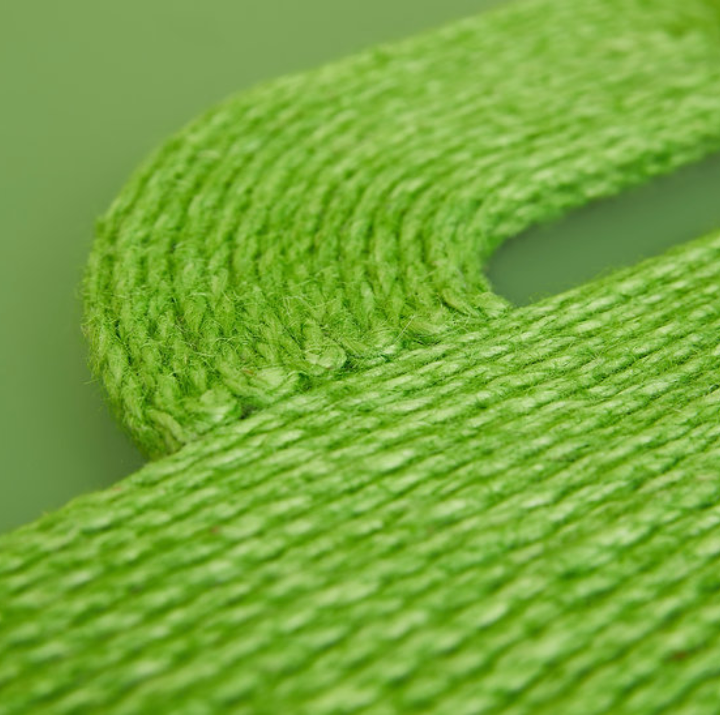 VETRESKA® Oasis Cactus Hand-Made Cat Scratching Pad – Wall-Mount with Suction Cup