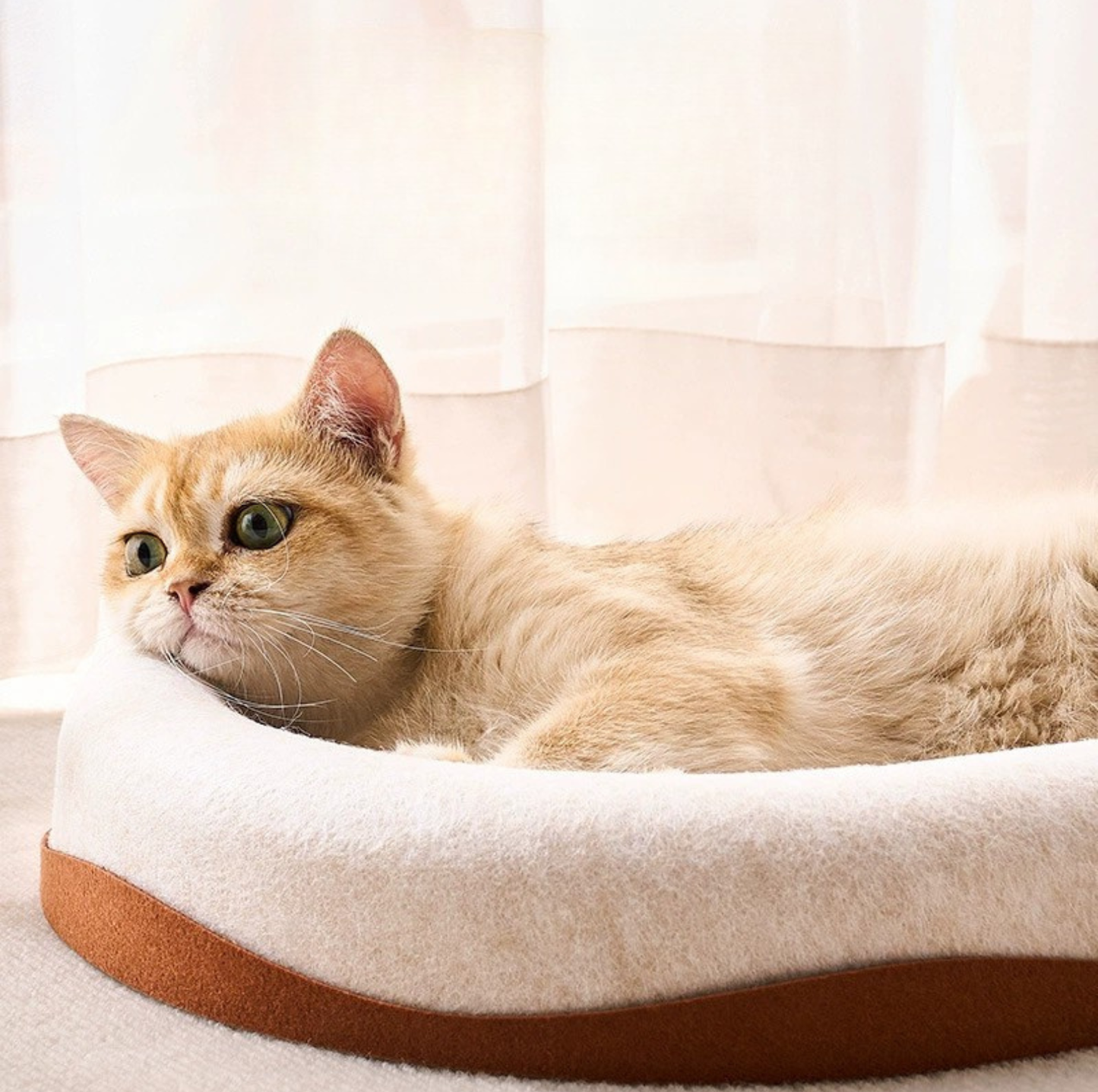 Oval Felt Cat Scratching Bed – Dual-Use Lounger & Claw Care Nest