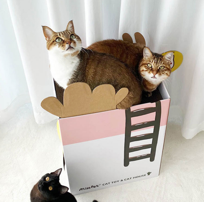 MissPet Cactus Café Cat Scratcher House