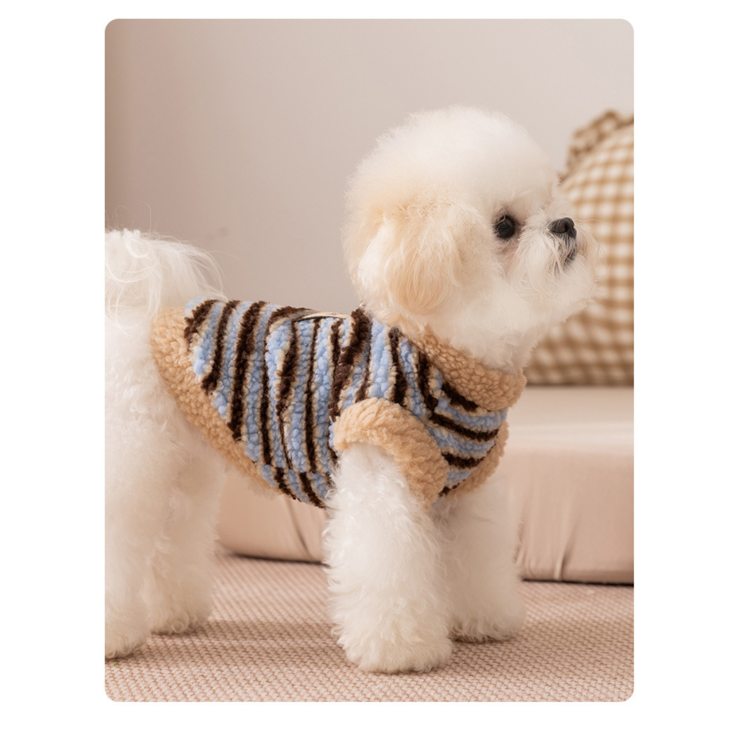 Teddy Fleece Pet Vest with D-Ring