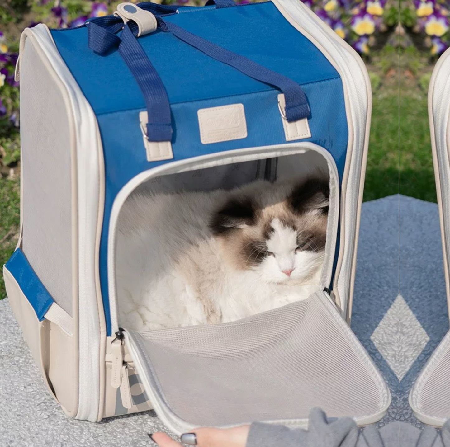 Purrpy Elegant Pet Backpack