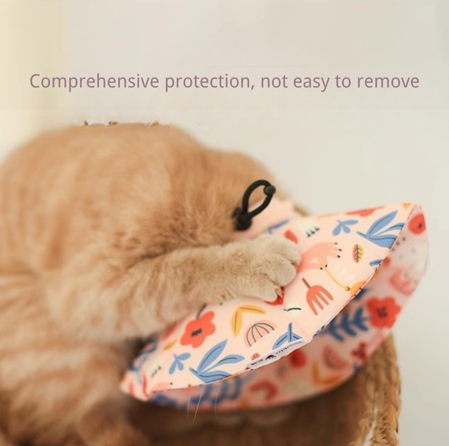 Soft Multi-Use E-Collar for Cats & Small Dogs