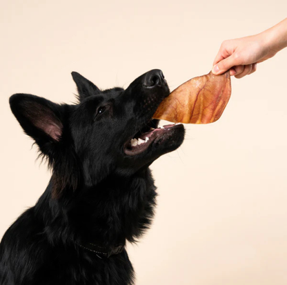 WAG Large Pig Ears 5 Pack Dog Treat