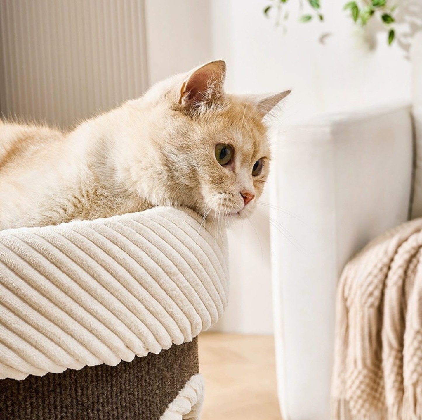 Marie Castle 3-Level Cat Tower & Bed– Multi-Tier Hideaway with Scratch-Resistant Fabric