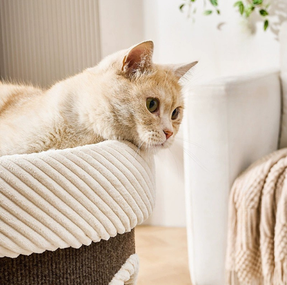 Marie Castle 3-Level Cat Tower & Bed– Multi-Tier Hideaway with Scratch-Resistant Fabric