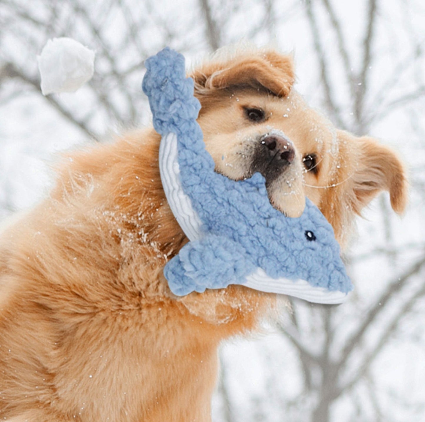Cartoon Style Squeaky Plush Dog Toys