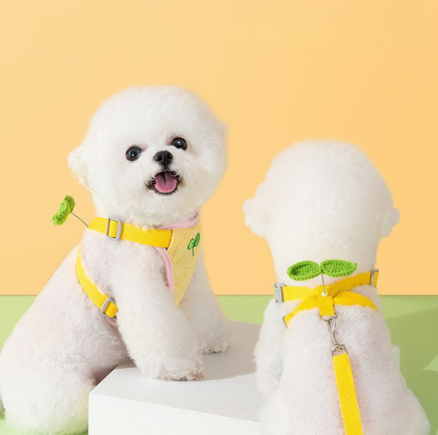 Vibrant Outdoor Pet Harness with Vest-Style Support