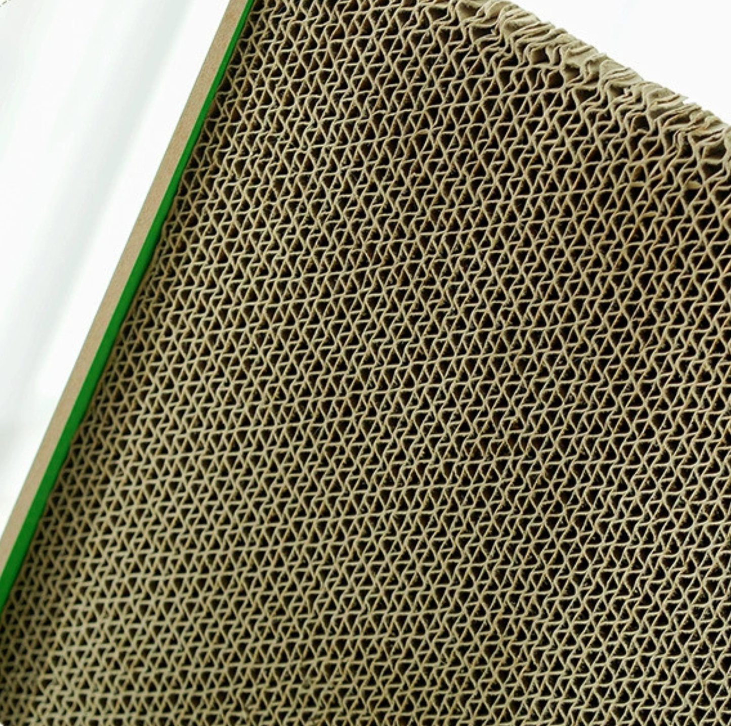 Cactus Multi-Surface Cat Scratching Board with Bell Ball