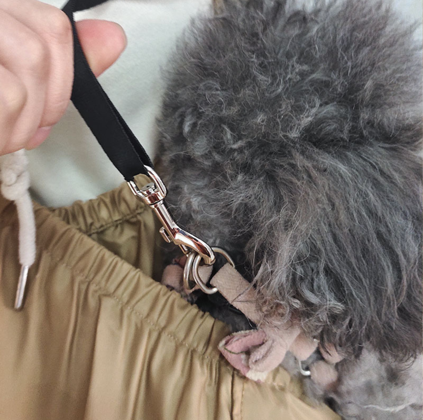 Single-Shoulder Pet Sling Backpack with Safety Buckle for Small Pets Under 6 kg