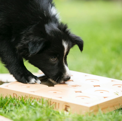 Wooden Puzzle Toy – Sudoku Medium Expert Classic for Dogs