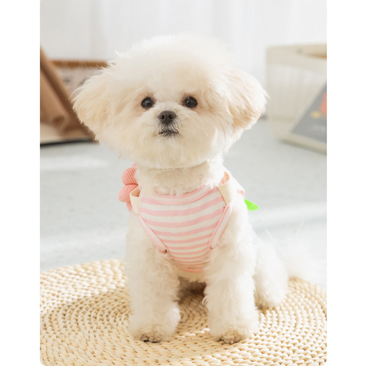Denim Patchwork Pet Dress with D-Ring for Cats & Small Dogs