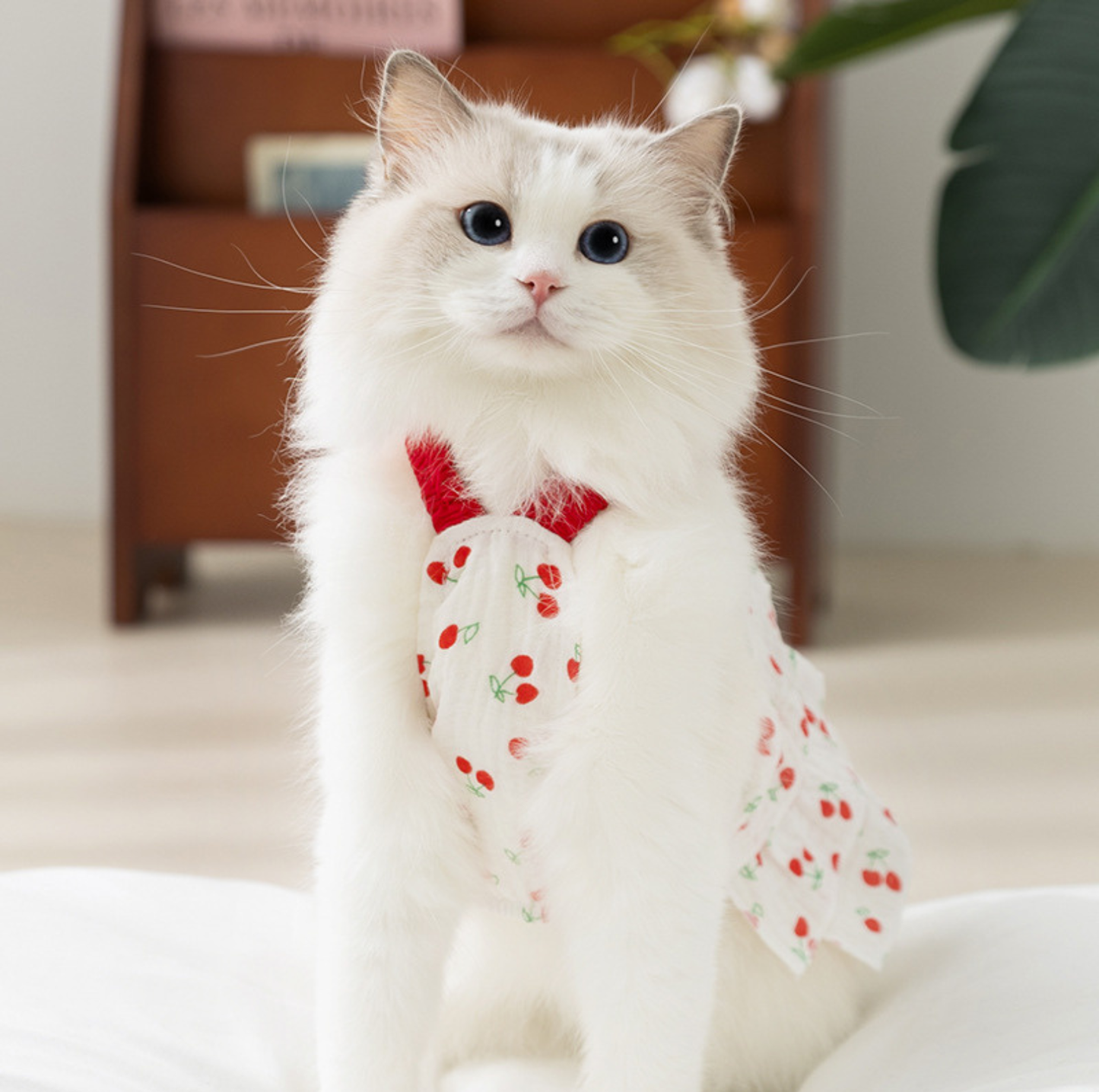 Cherry Suspender Pet Dress with D-Ring for Cats & Small Dogs