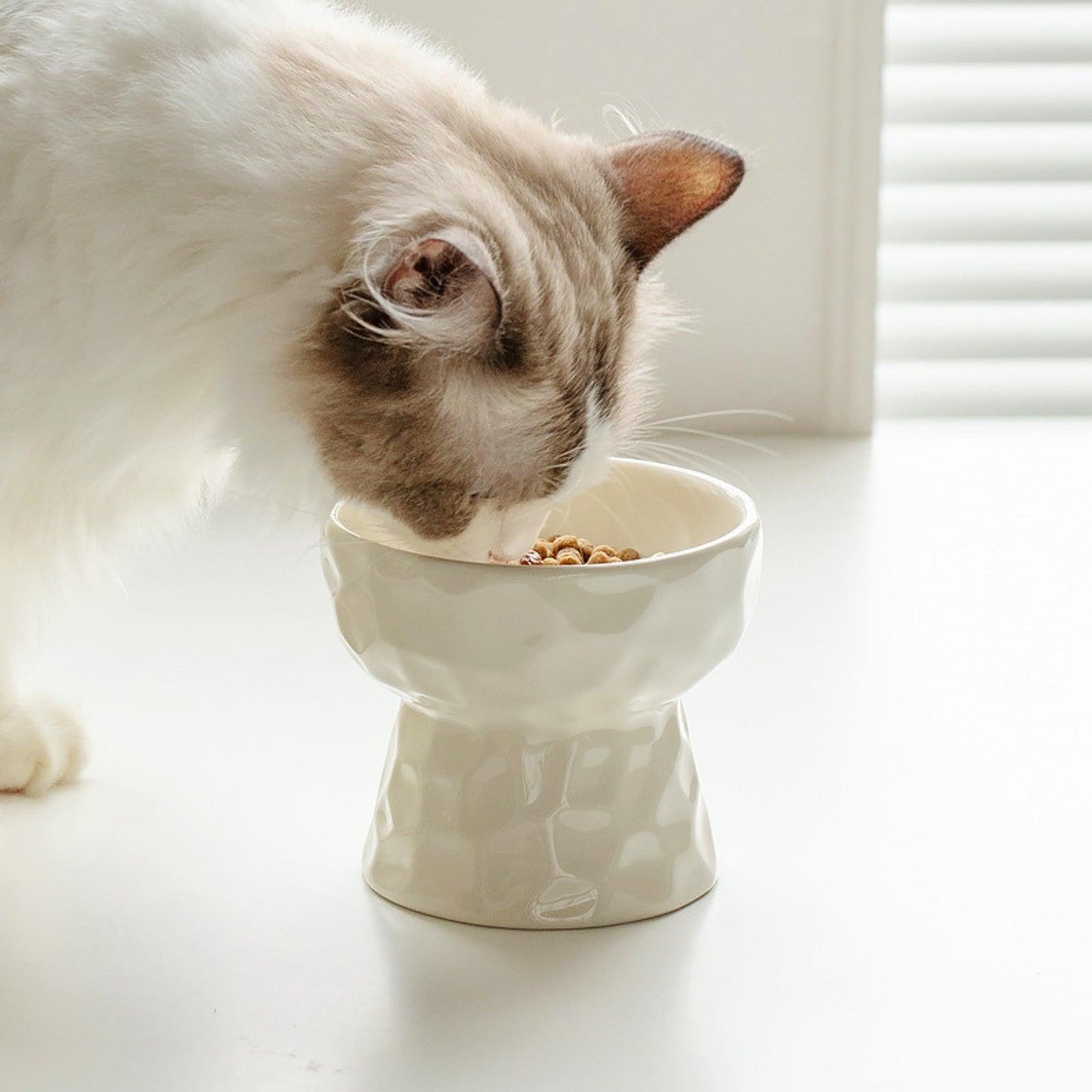 Ceramic Raised Pet Bowl for Cats and Dogs