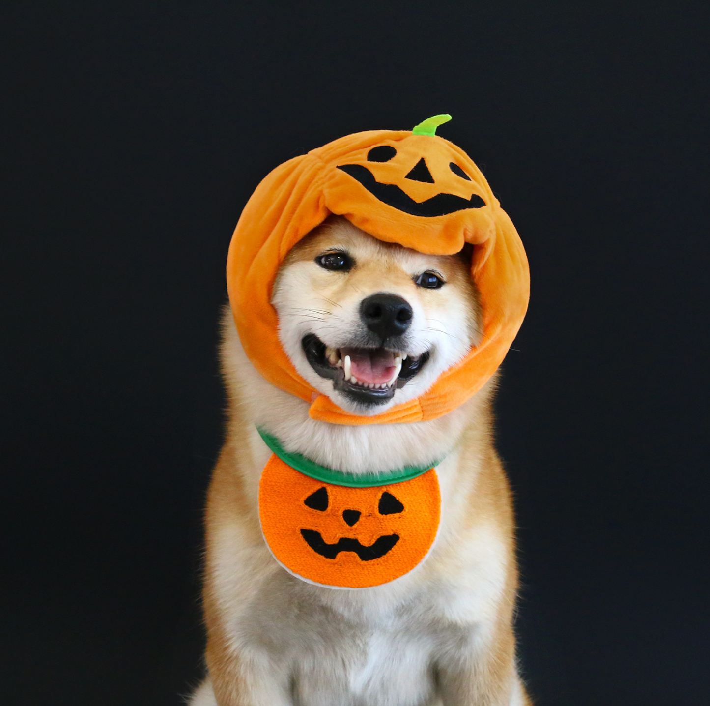 Halloween Pumpkin Hat & Ghost Bib Set for Cats and Dogs