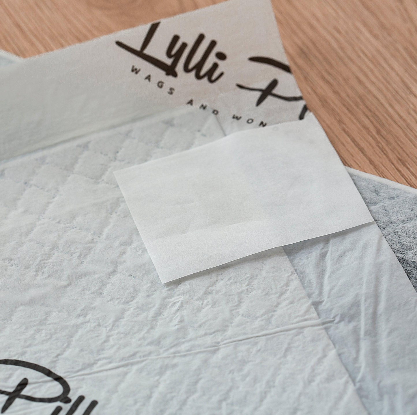 LYLLI PILLY Lylli Pad - Charcoal Leak Proof Ultra Absorbent Premium Training Pads