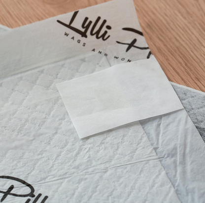 LYLLI PILLY Lylli Pad - Charcoal Leak Proof Ultra Absorbent Premium Training Pads