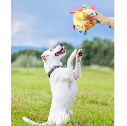 Interactive Squeaky Plush Ball Dog Toy