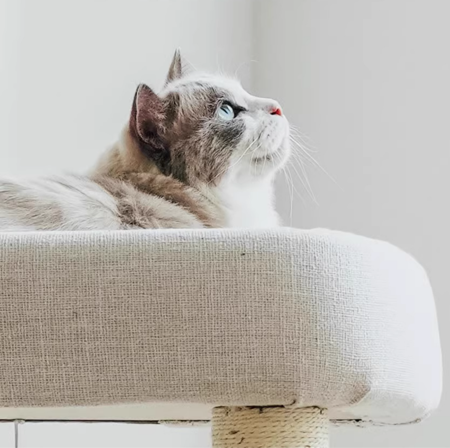 Japanese-Style Double-Level Cat Tree Cat Sofa - 90901B, Perfect for Window-Side Lounging