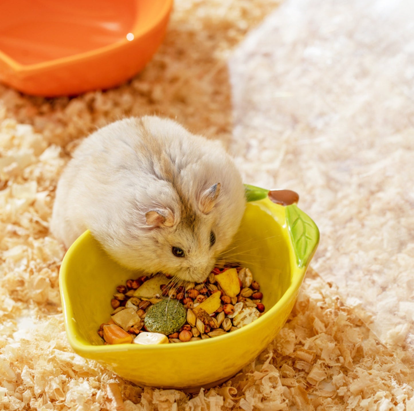 Fruit-shaped Small Animal Feeding Bowl