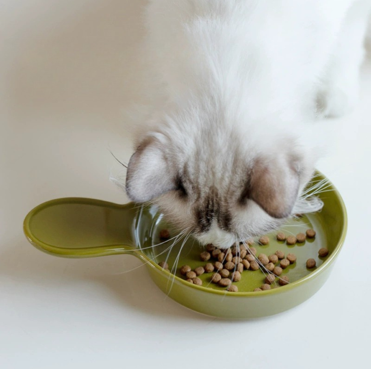 Pan-Style Ceramic Pet Feeding Bowl with Handle
