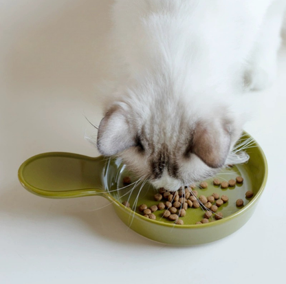 Pan-Style Ceramic Pet Feeding Bowl with Handle