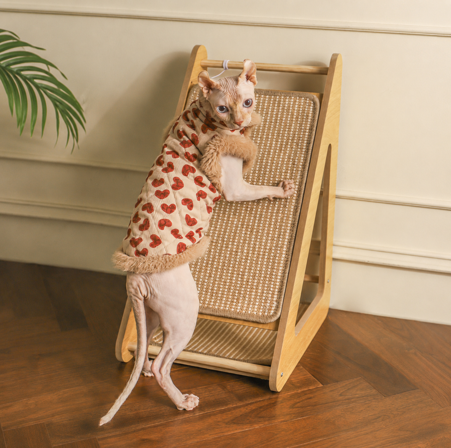 Triangle Sisal Cat Scratcher Stand with Play Ball