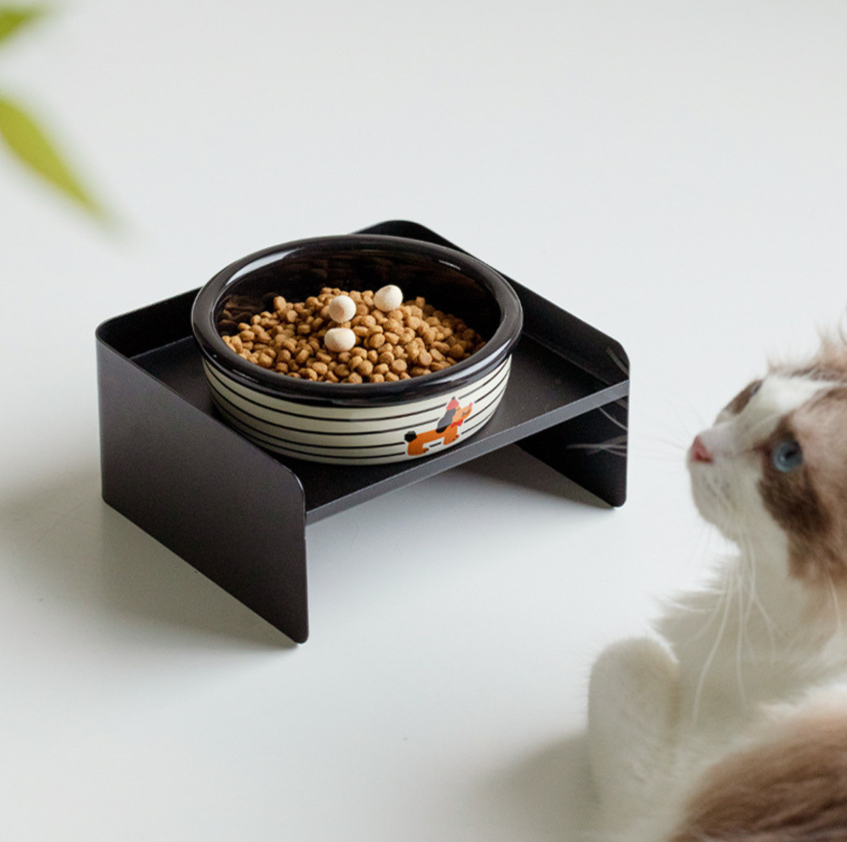 Patterned Ceramic Pet Feeding Bowl