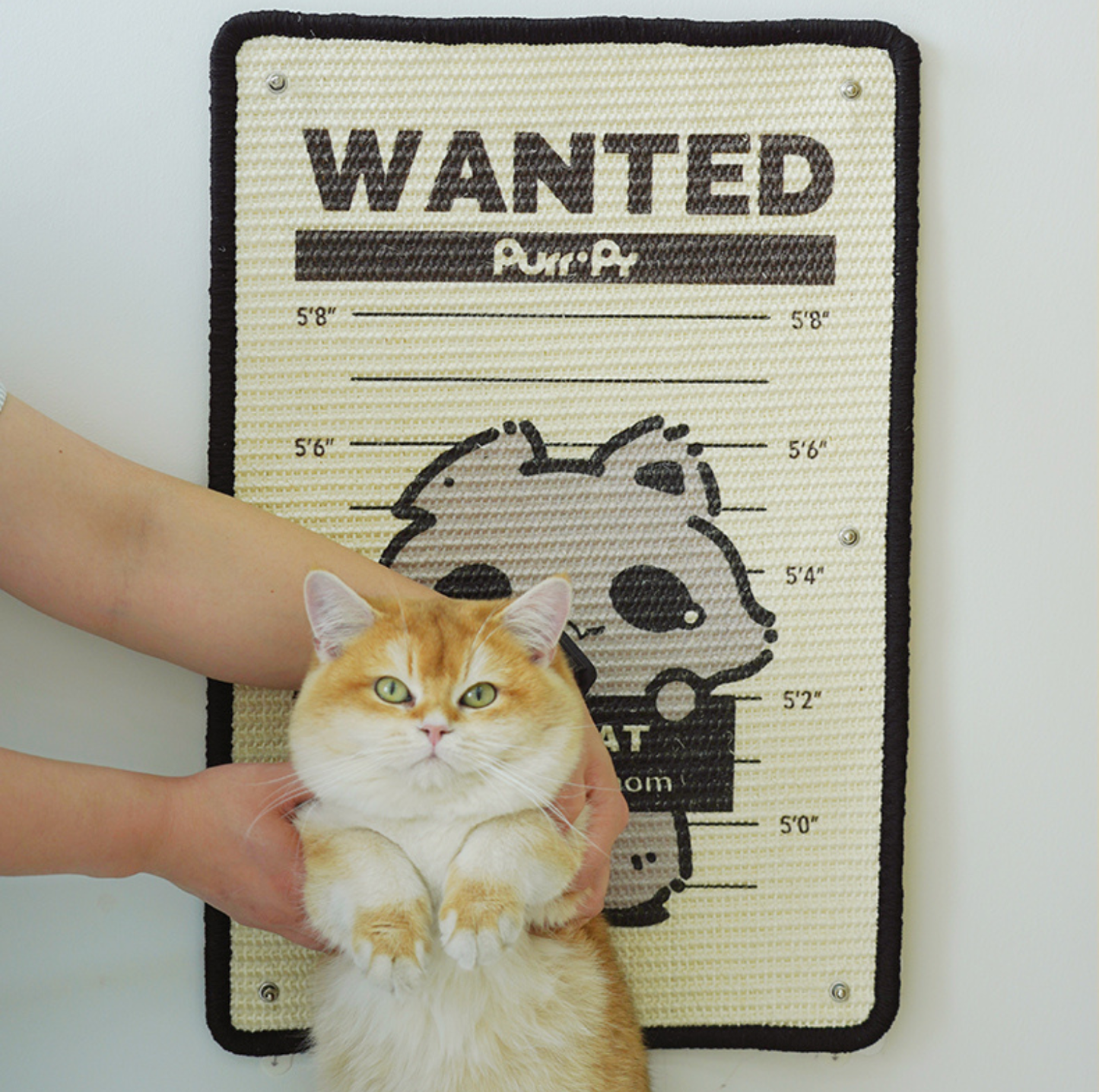 Wall Mounted Sisal Cat Scratching Mat - Bad Cats