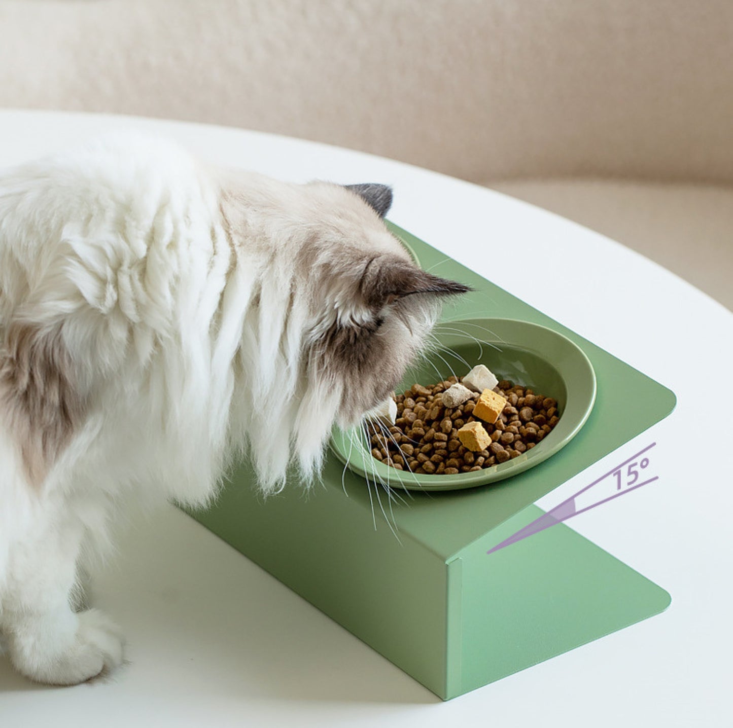 Ceramic Double Pet Bowl with Tilted Iron Stand