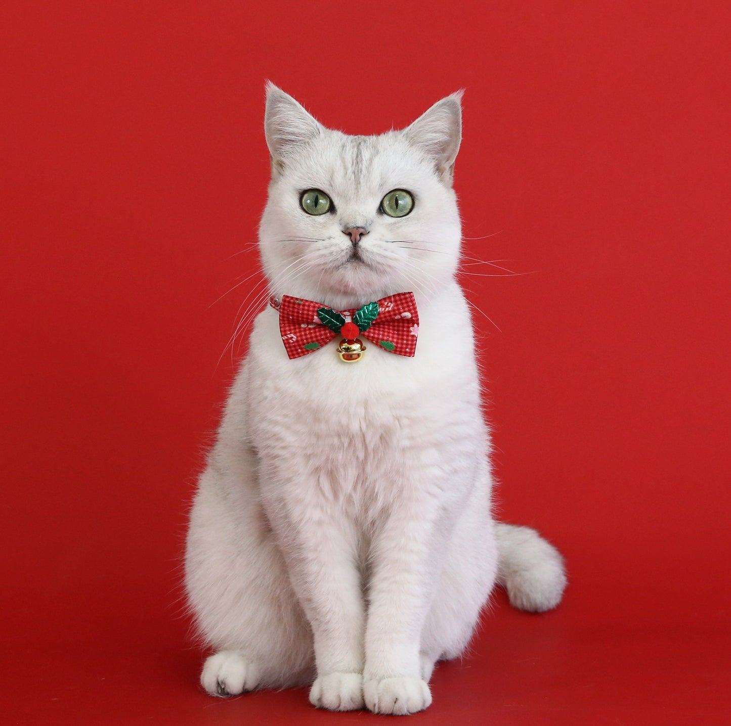 Adjustable Checkered Christmas Bow Tie Pet Collar