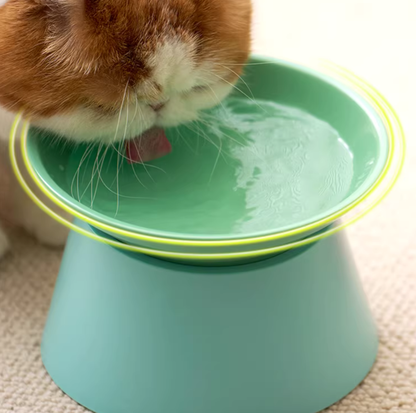 Makesure Tawa Elevated Ceramic Pet Bowl