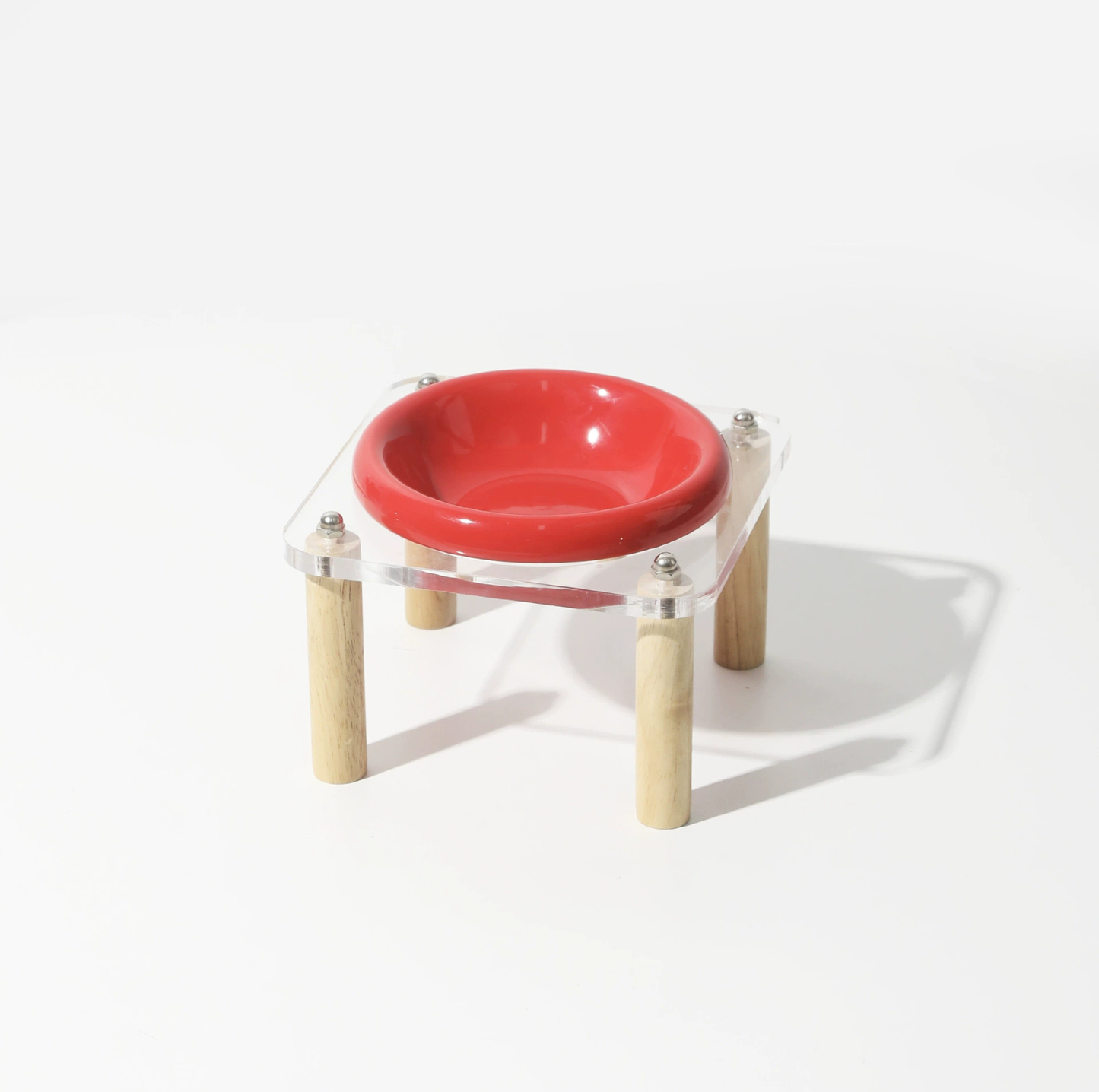 Pop Colour Ceramic Pet Bowl with Elevated Acrylic or Wooden Stand