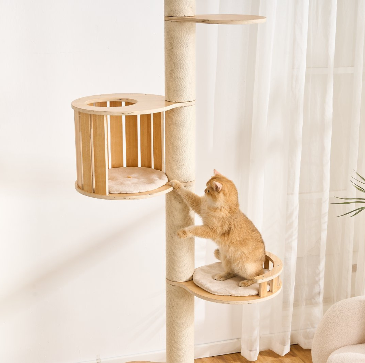 Adjustable Ceiling-Mounted Wooden Cat Tree - V02 (250-300cm)