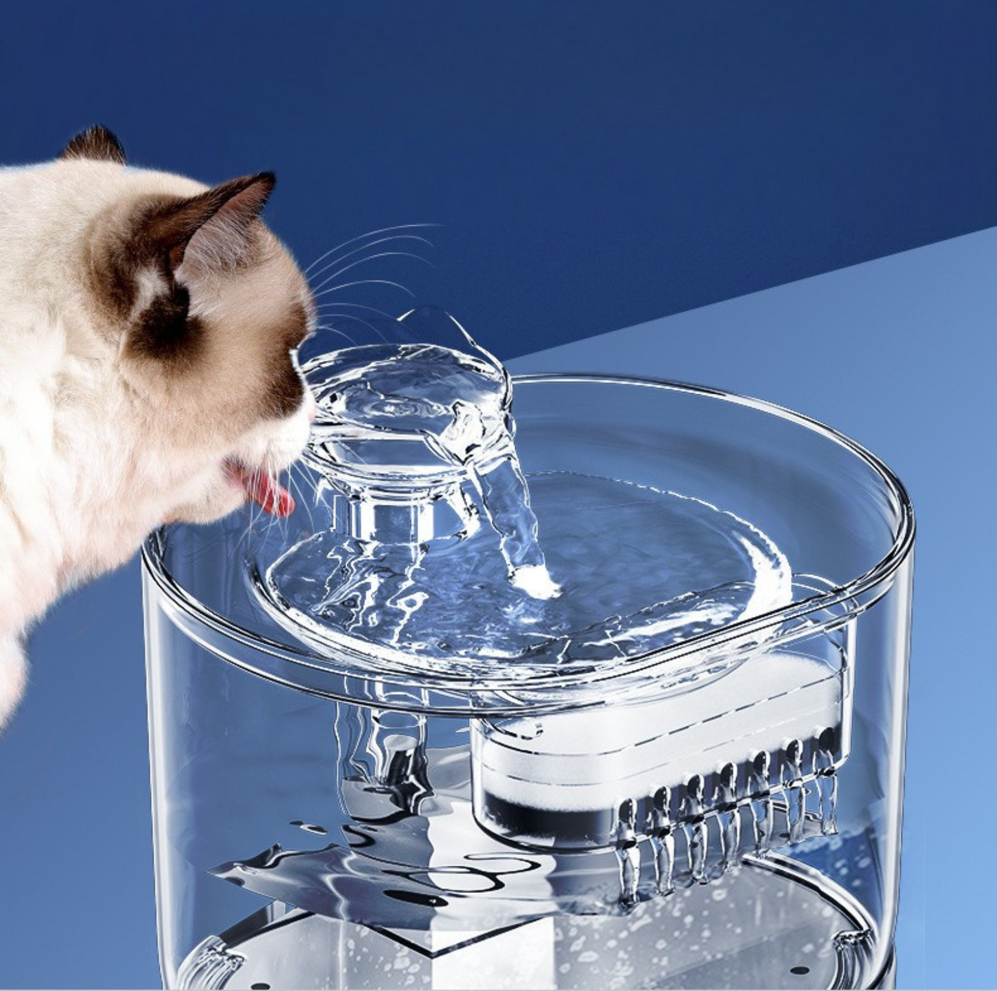 2.2L Transparent Pet Water Fountain with Dual Flow Mode