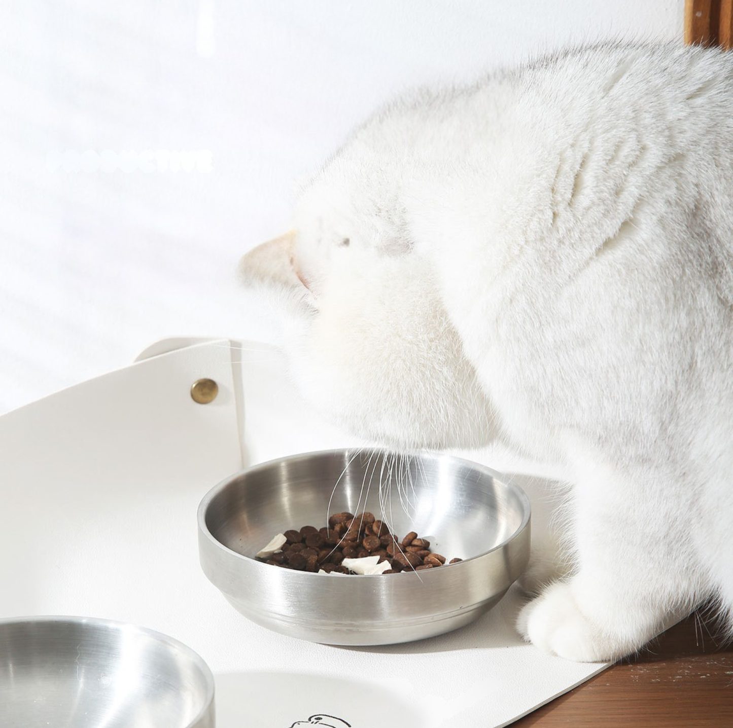 304 Stainless Steel Pet Food Bowl With Acrylic Stand