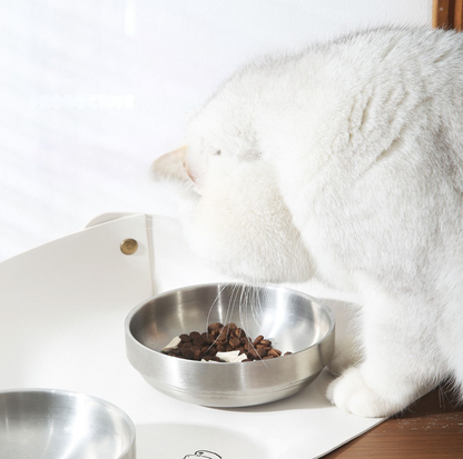 304 Stainless Steel Pet Food Bowl With Acrylic Stand
