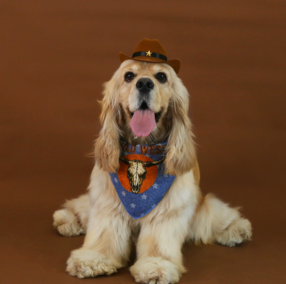 Western Cowboy Pet Hat & Bandana Set