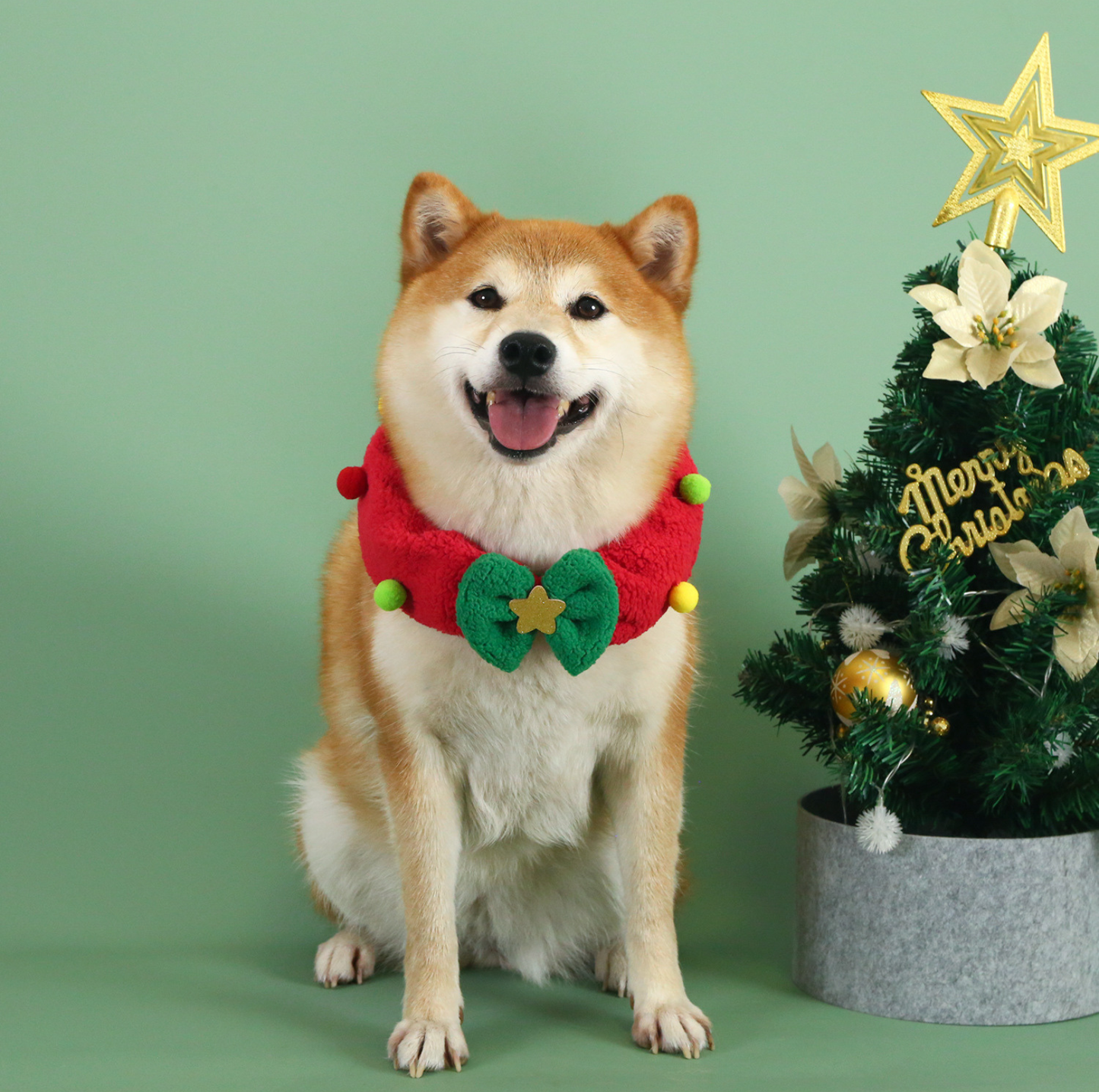 Christmas Pet Hat & Scarf Bundle – Festive Tie-On Set