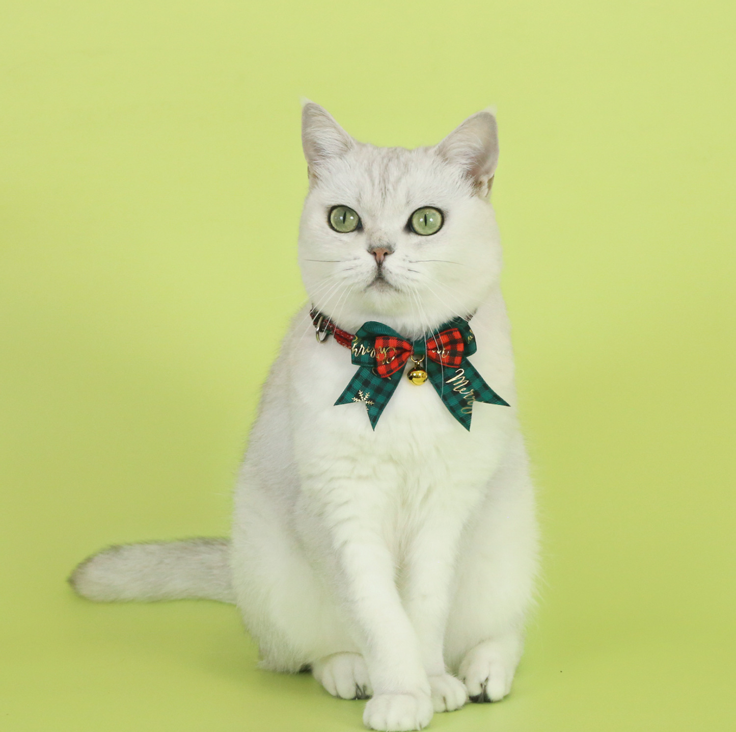 Christmas Bow Tie Pet Collar – Adjustable Festive Design