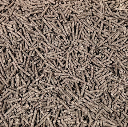 Green Tea Cat Litter 2.5kg – Flushable Plant-Based Clumping Formula