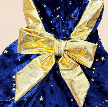 Starry Velvet Hooded Pet Cape with Gold Bow