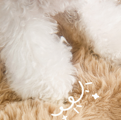 Plush Shell Enclosed Pet Bed with Removable Cushion