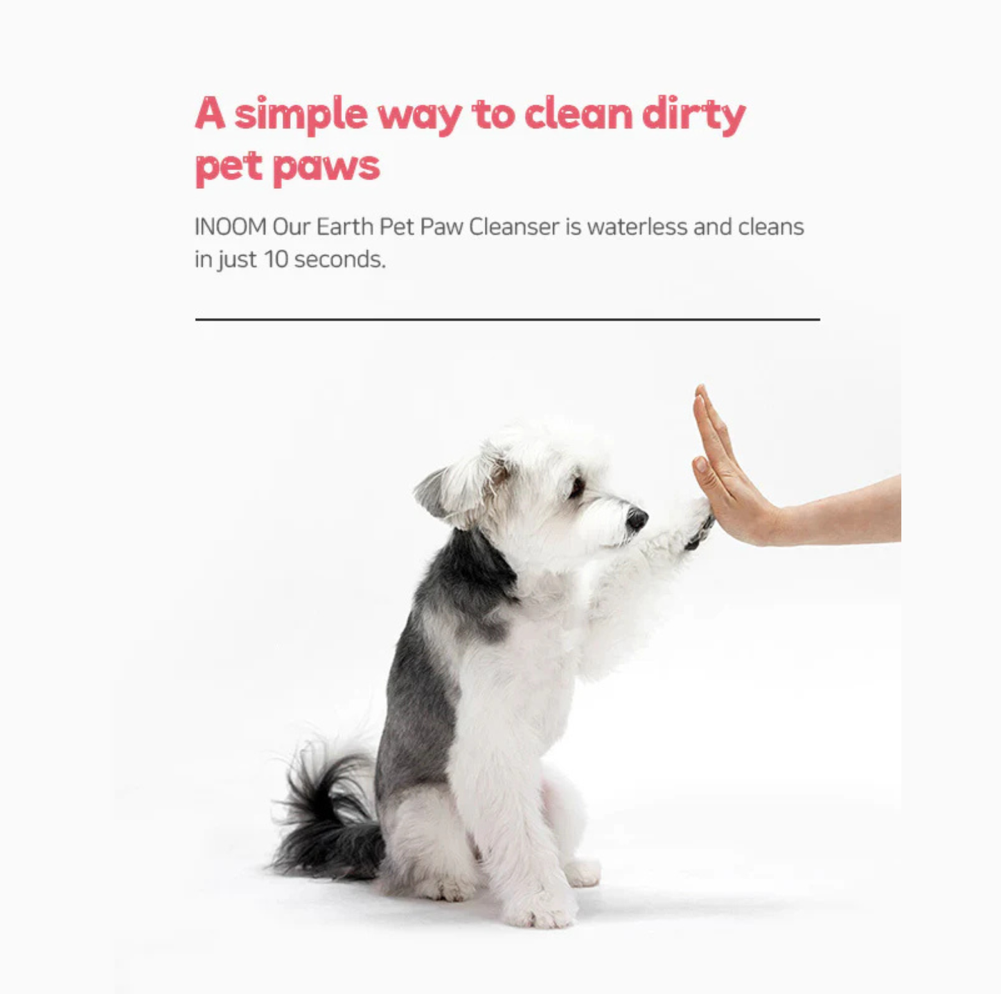 INOOM OUR EARTH Plant-Based Pet Paw Cleaner – Vegan, Cruelty-Free