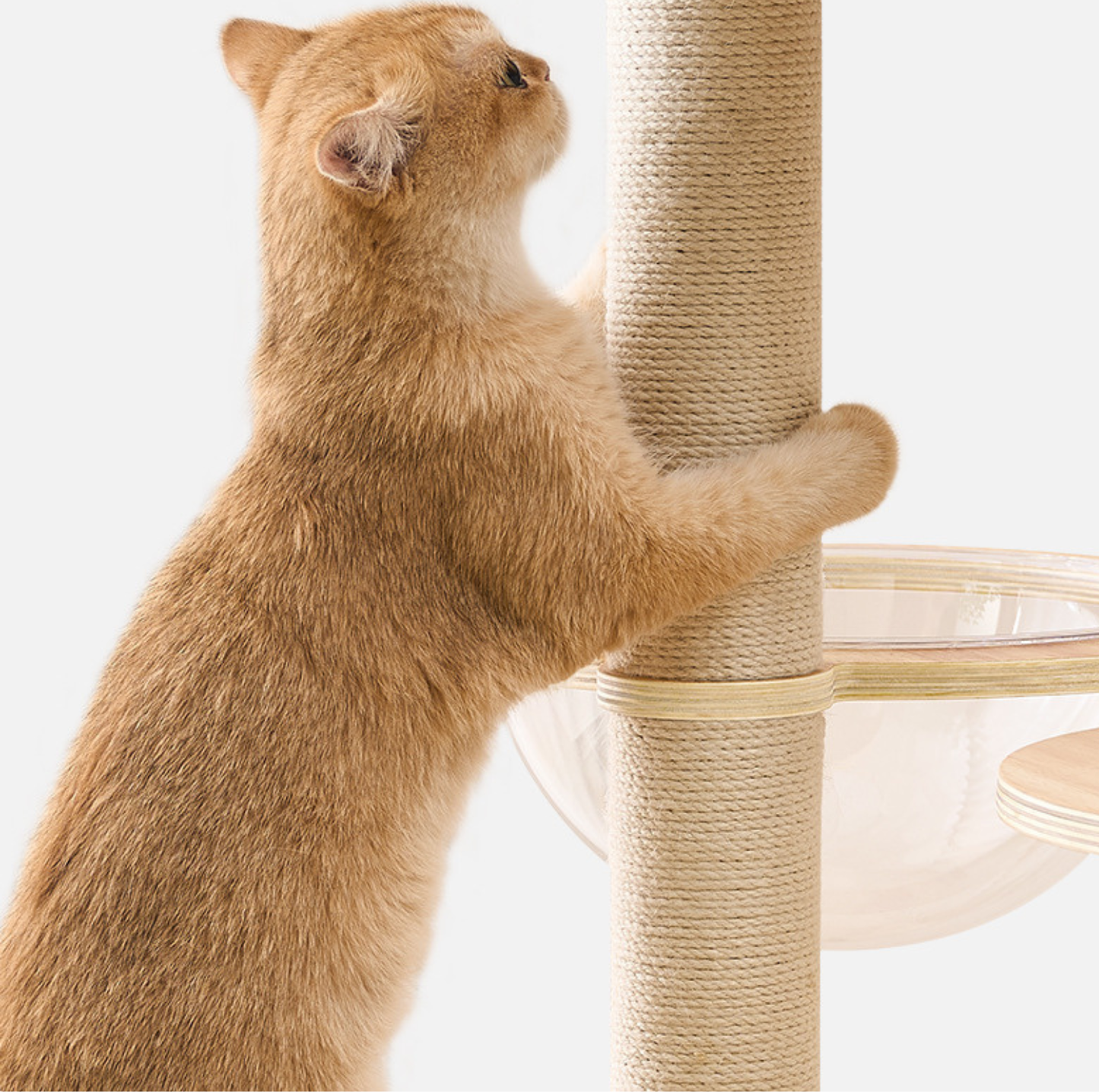 Loft Wooden Multi-Level Cat Tree