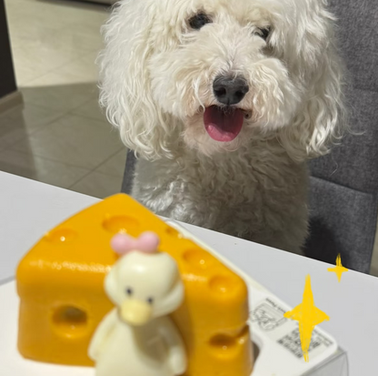 Le Petit Paws:Pet Pumpkin Cheese Mousse