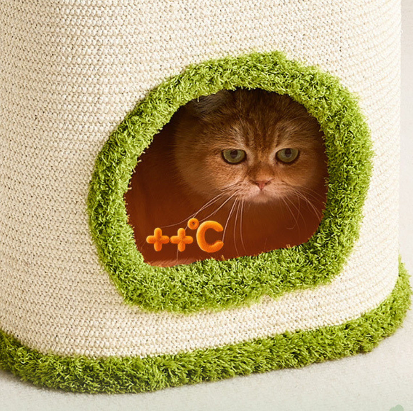 Dual-Level Full Sisal Cat Condo Tower with Top Lounge