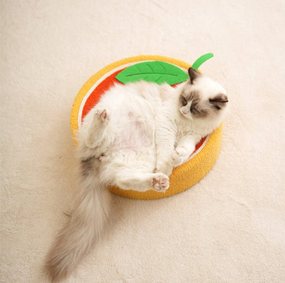 Fruit-Design Sisal Cat Scratcher - {{product.type}} - PawPawUp