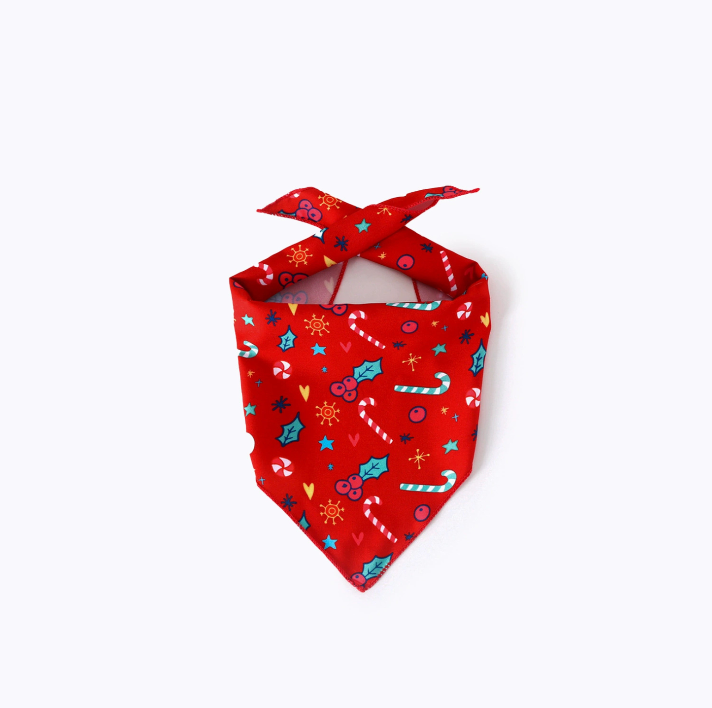Christmas Pet Bandana and Star Hat Set