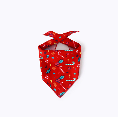 Christmas Pet Bandana and Star Hat Set